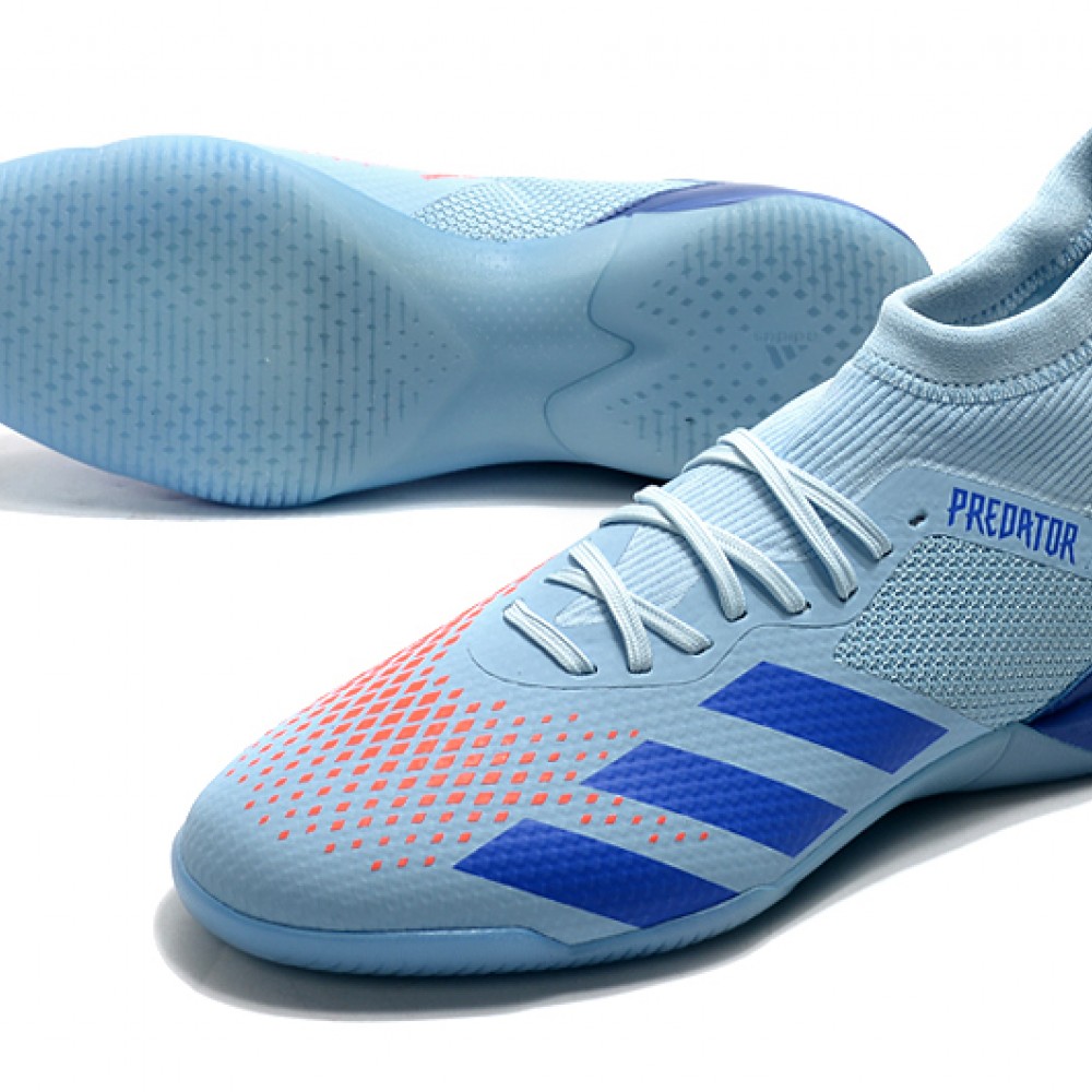 blue and orange predators